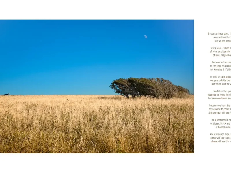 Altered Landscapes